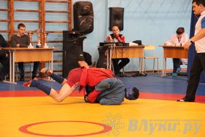 Первенство Псковской области по самбо
