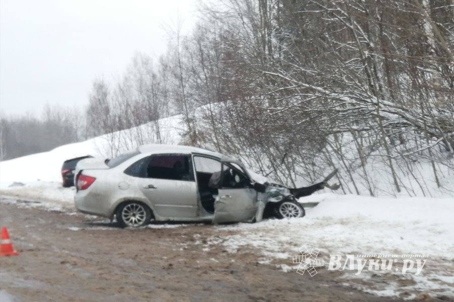 В Великолукском районе произошло ДТП (ФОТО)