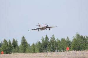 IV Фестиваль авиамодельного спорта России в классе радиоуправляемых моделей