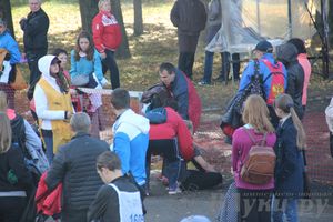 Кросс нации