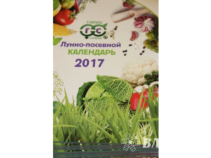 В ДК ЛК открылась 7-я Великолукская универсальная выставка (ФОТО, ВИДЕО)