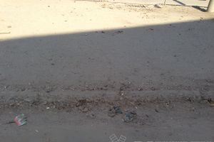 Весне дорогу!