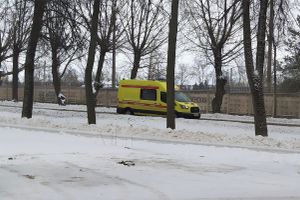 © ВЛуки.ру