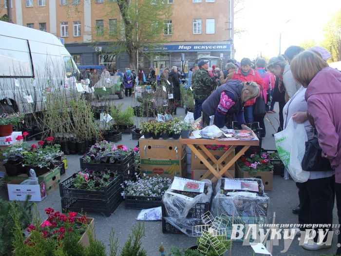 Традиционная весенняя ярмарка прошла в Великих Луках