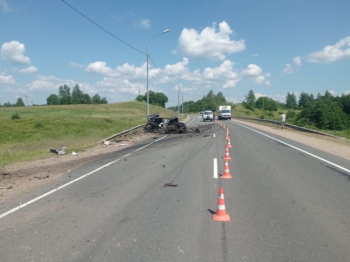 В ДТП в Куньинском районе погиб ребёнок (ФОТО)