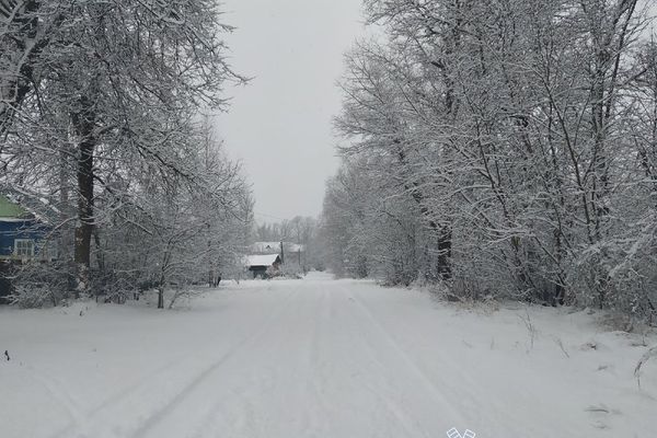 Жителей Псковской области предупредили о приближении сильного ветра и метелей
