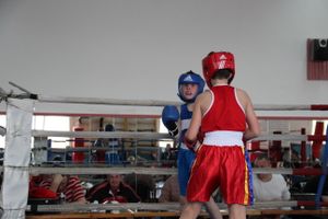 В Великих Луках прошло Первенство города по боксу (ФОТО)
