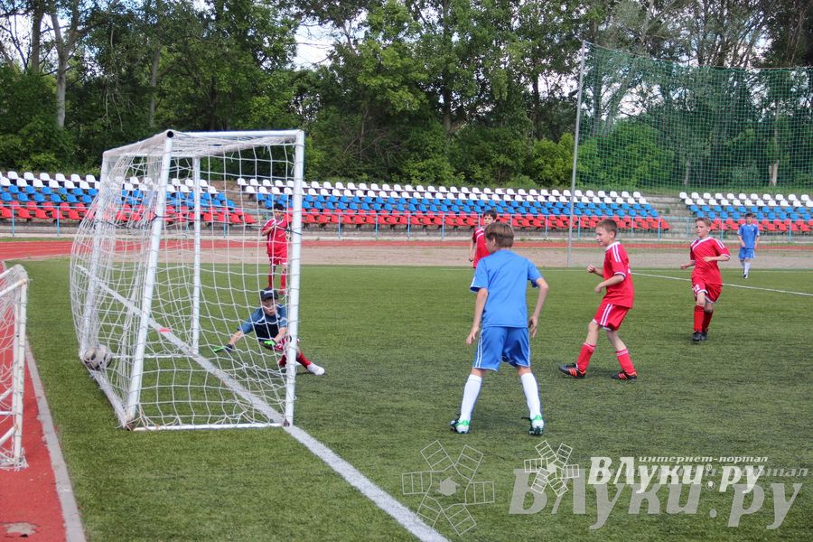 «Локобол-2013» в Великих Луках