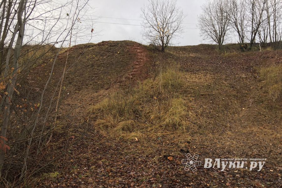 Переслегинские ребята сгибают «Подкову» (ФОТО)