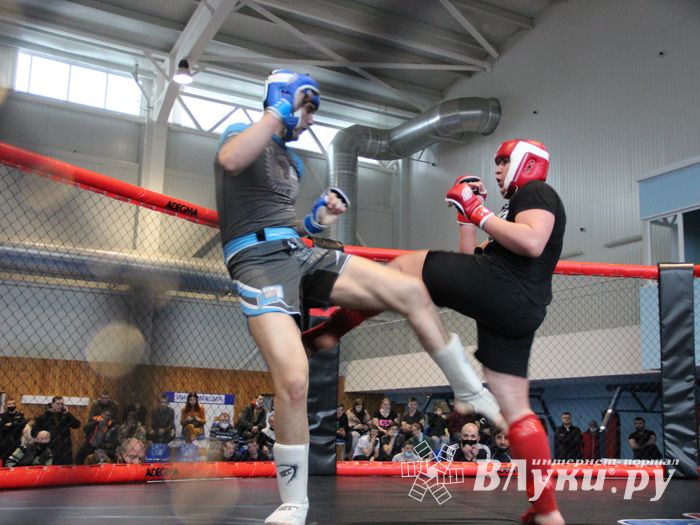 В Великих Луках прошел кубок по смешанному боевому единоборству (ФОТО)
