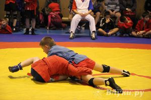 Великолучане стали первыми в общекомандном зачете турнира по самбо «Память»