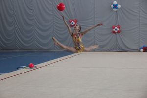 ​В Великих Луках прошли соревнования по художественной гимнастике (ФОТО)