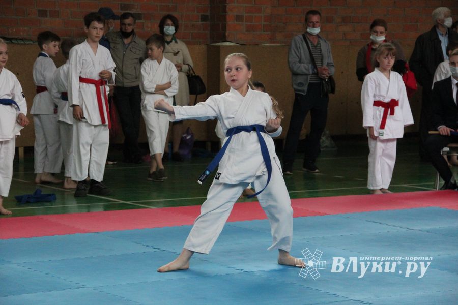 Открытый Кубок города Великие Луки по каратэ WKF (ФОТО)