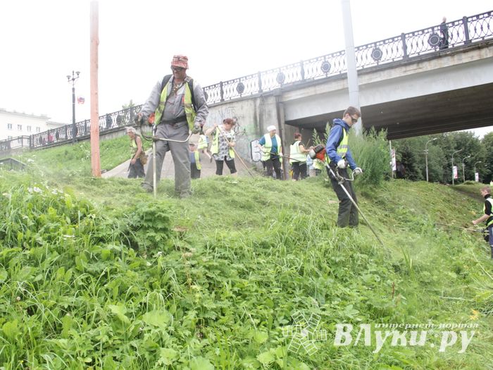 Куда утекла Ловать (ФОТО)