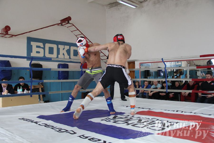 В Великих Луках прошел Чемпионат области по смешанному боевому единоборству (фото)