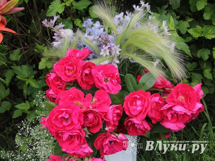 «Парад детских колясок» в День семьи, любви и верности (ФОТО)