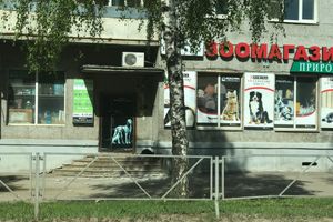 В Великих Луках раскрошился дом (ФОТО)