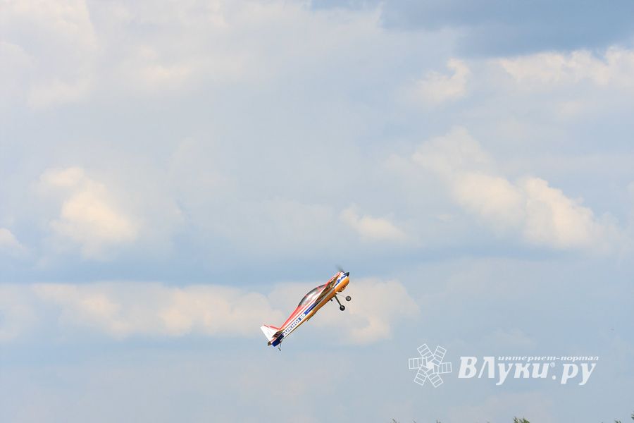 IV Фестиваль авиамодельного спорта России в классе радиоуправляемых моделей