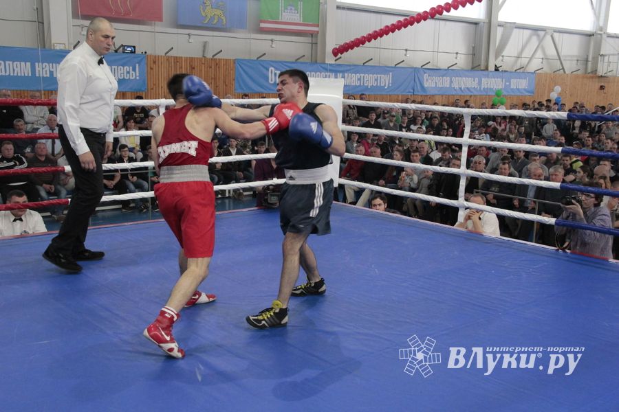 Матчевая встреча по боксу Великие Луки —Псков — Грозный (ФОТО)