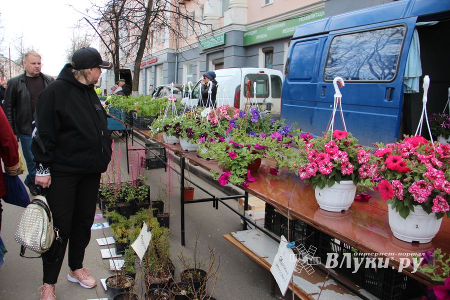В Великих Луках прошла ярмарка «Весна - 2022» (ФОТО)