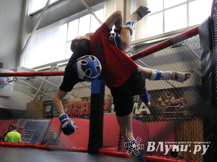 В Великих Луках прошел кубок по смешанному боевому единоборству (ФОТО)