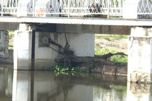 Фотофакт: застряла в плотине