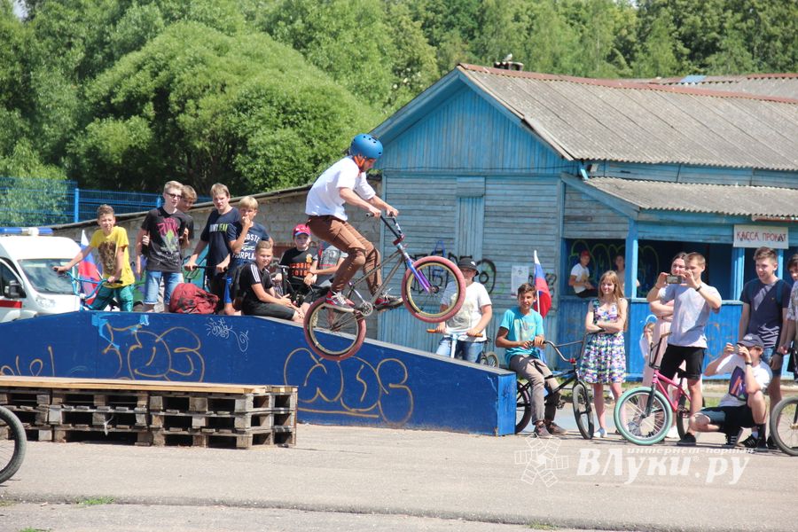 В Великих Луках прошёл Олимпийский День (ФОТО)