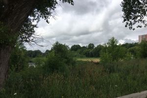 Необитаемый остров Дятлинка (ФОТО)