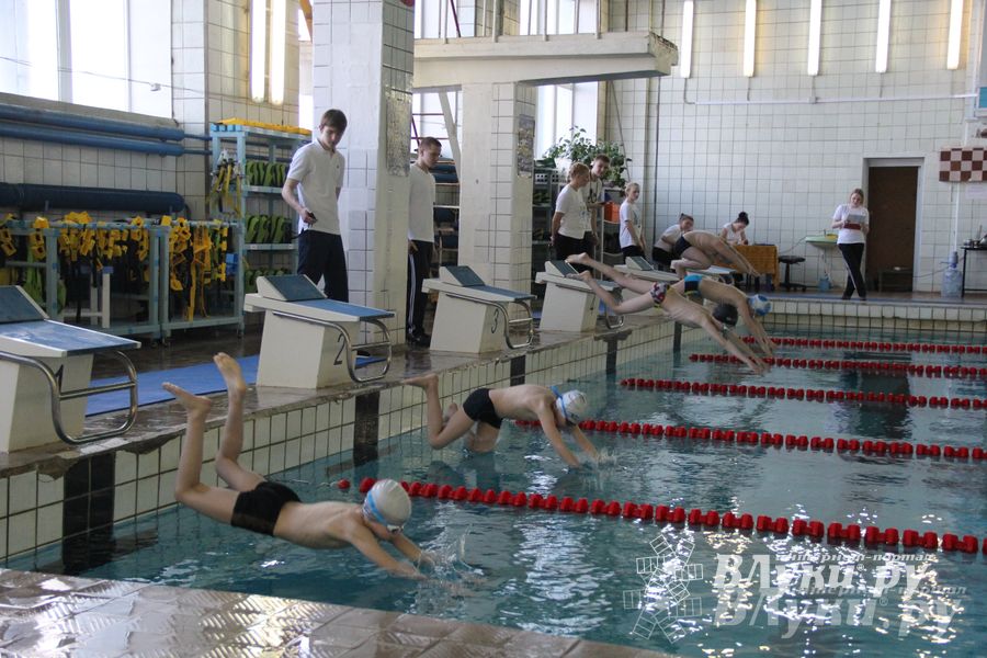 В Великих Луках прошли соревнования по плаванию «Весёлый дельфин»