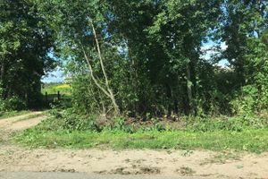 Дачников Великих Лук порадовали районные дорожники (ФОТО)