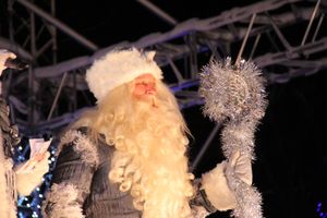 В Великих Луках петуха сменили на собак (ФОТО)