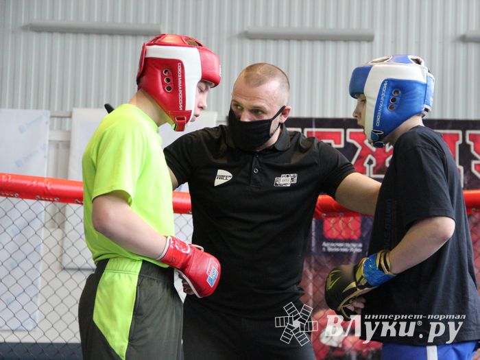 В Великих Луках прошел кубок по смешанному боевому единоборству (ФОТО)