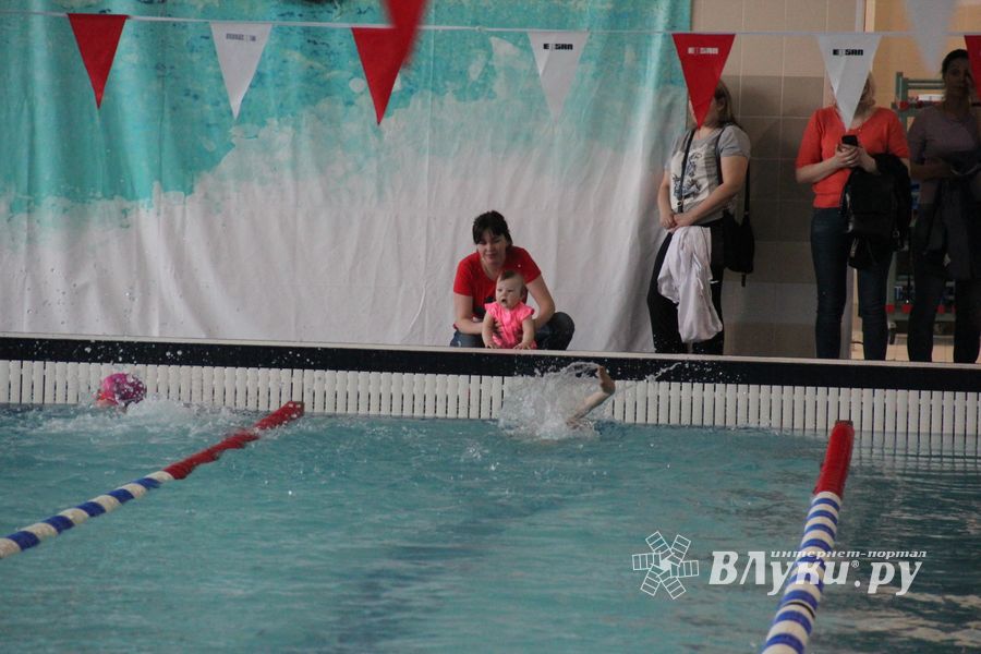 В «Айсберге» прошло Первенство города по плаванию (ФОТО)