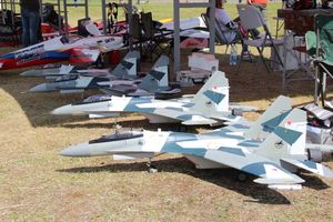 Фестиваль авиамодельного спорта России прошел в Великих Луках (ФОТО)