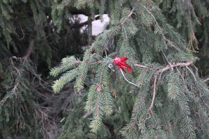 Необычное украшение сняли с главной ёлки Великих Лук