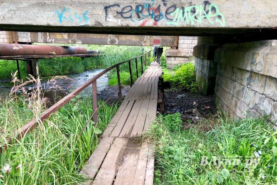 Великолучанка собралась жаловаться Путину на опасный Лазавицкий переезд (ФОТО)