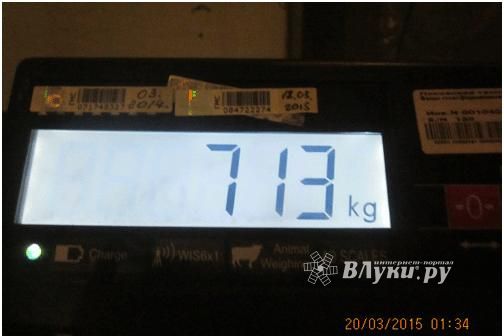 Псковская таможня остановила контрабанду 713 кг сигарет (фото)