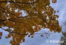 На Северо-Запад будет поступать холодный воздух из акватории Баренцева моря