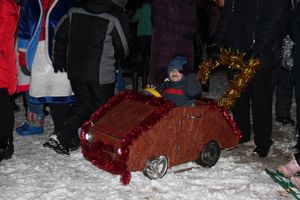 В Великих Луках зажглась новогодная ёлка (ФОТО)