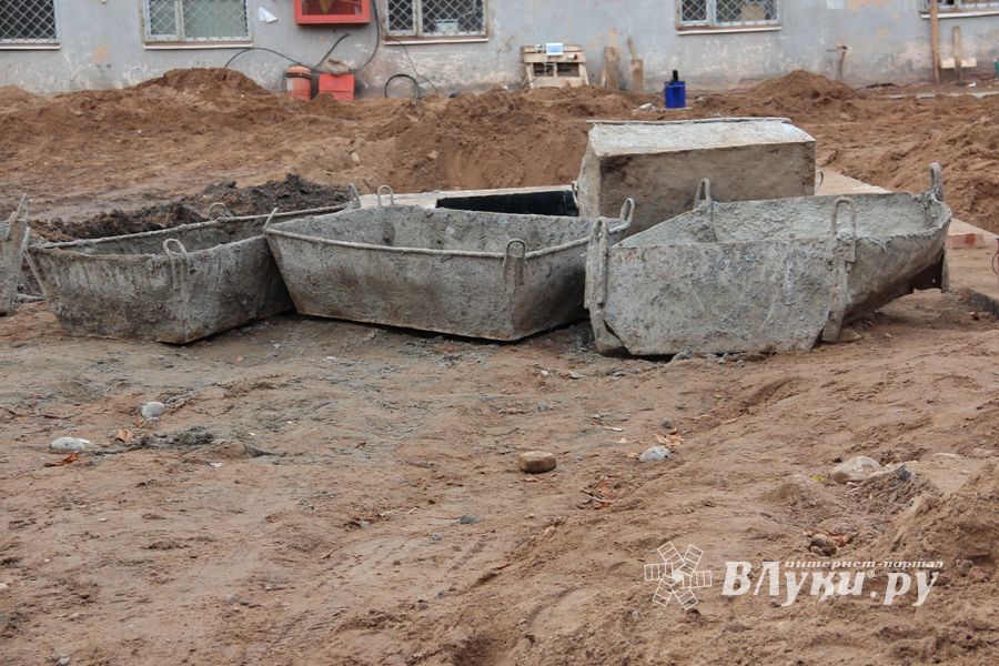 В скором времени нерадивых великолучан станет проще изолировать (ФОТО)