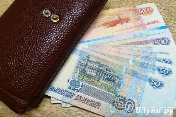 С 2024 года псковские родители продолжат получать пособие по уходу за ребенком при выходе на работу