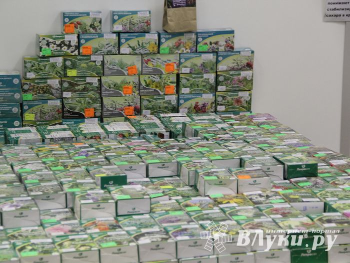 Шестая великолукская универсальная выставка открылась в Великих Луках (фото + видео)