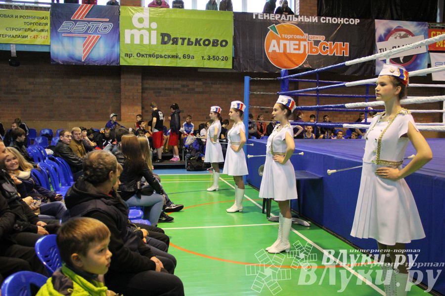 Открытие 16-го  Международного турнира по боксу