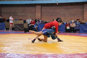 Великолукские самбисты завоевали 45 медалей на открытом первенстве города (ФОТО)