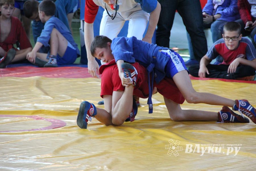 Фестиваль боевых искусств прошел в Великих Луках (ФОТО)