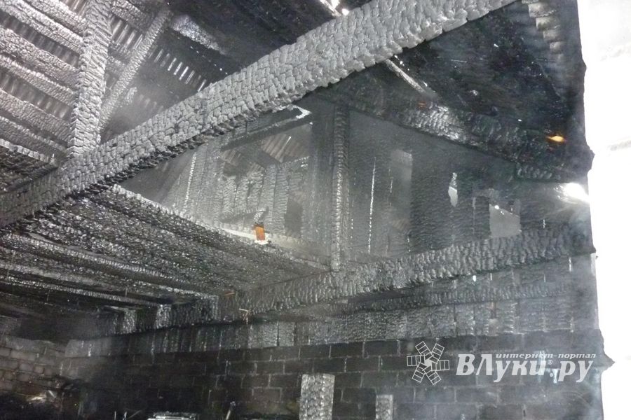 В Великих Луках сгорела хозпостройка (фото)