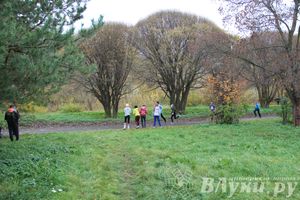 Легкоатлетический осенний кросс прошел в Великих Луках (фото)