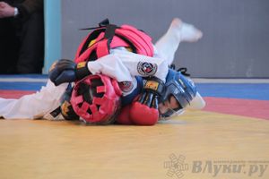 Первый чемпионат и первенство Псковской области по смешанным боевым искусствам «ММА»