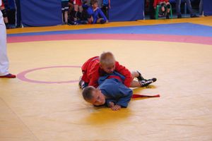 В Великих Луках проходит турнир по самбо (ФОТО)