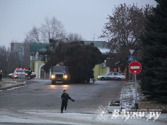 В Великих Луках установили новогоднюю елку (фото)